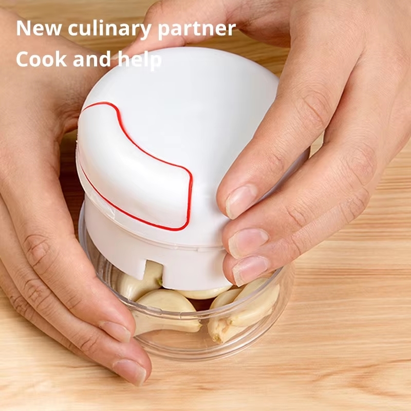 1PC Mini Garlic Crusher Press  - Kitchen Gadgets Vegetable Chopper recension och pris